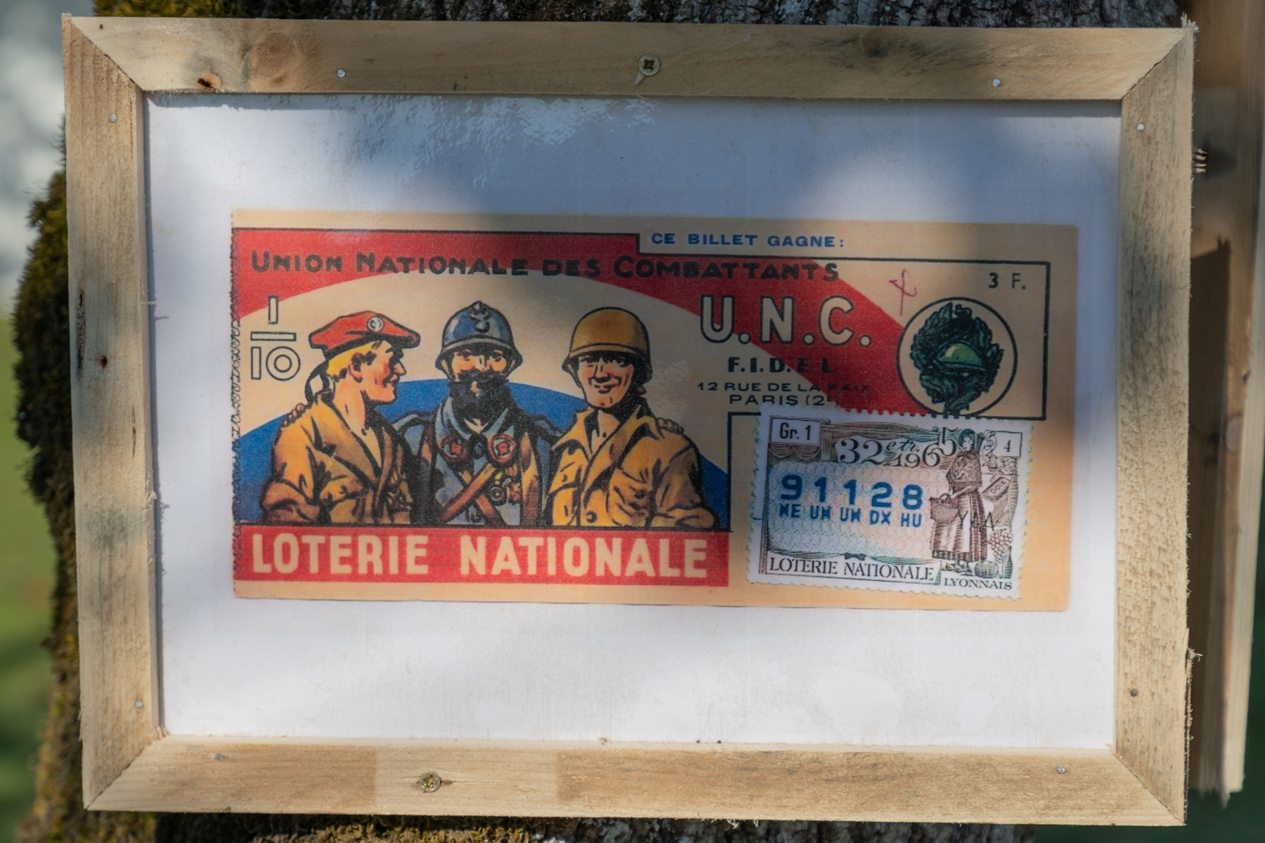 2022-11novembre (6)
