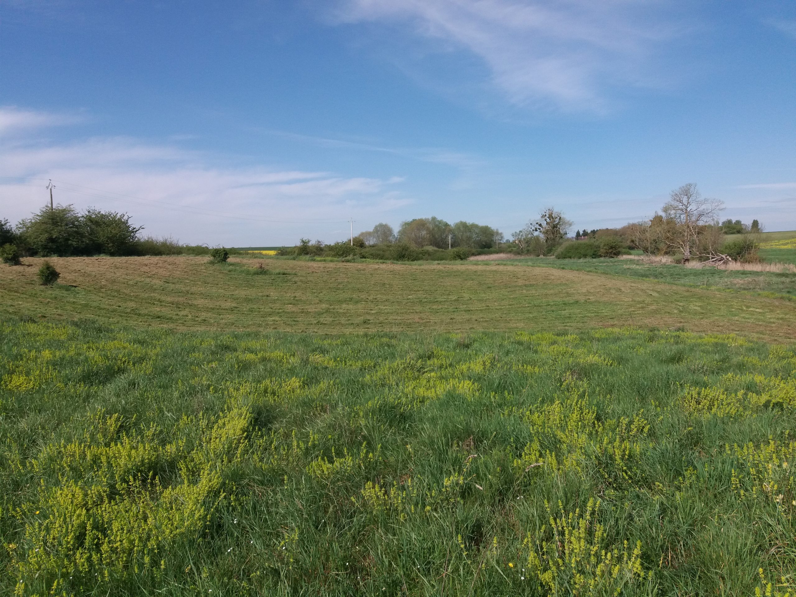 2022-fauchage (2)