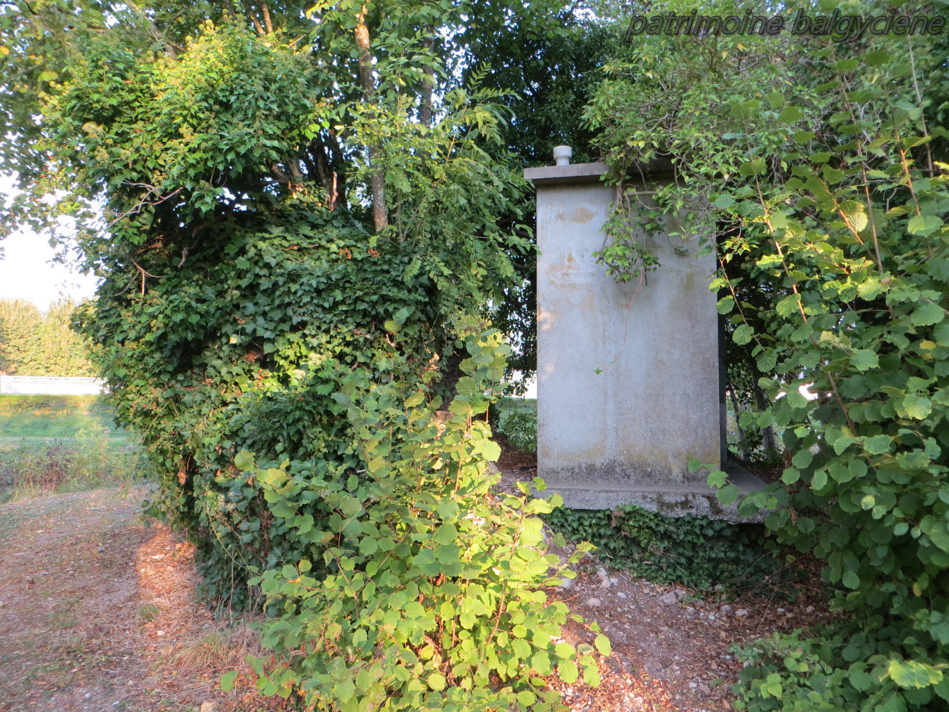 chateau-2018-01