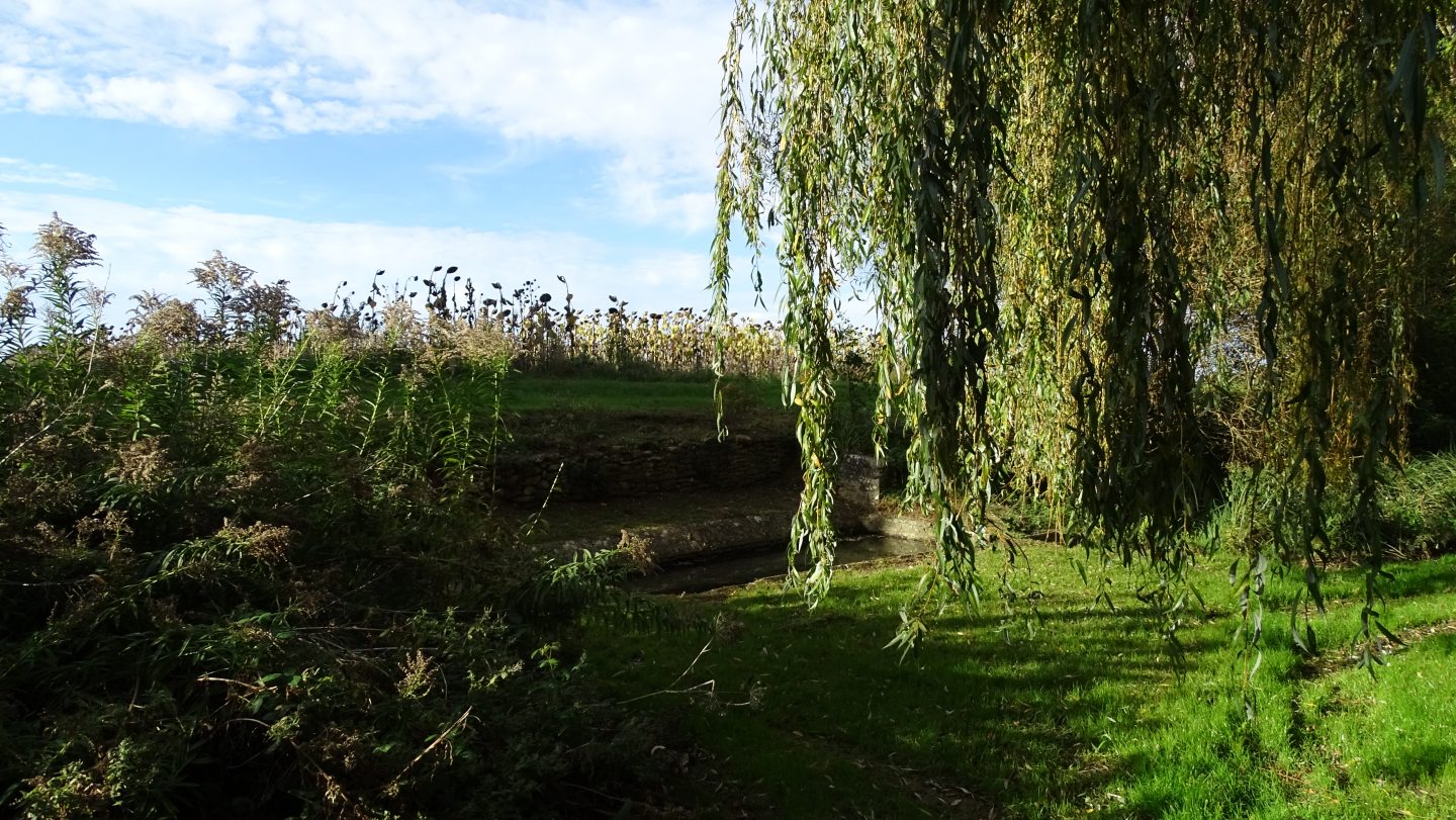pages-saligny-hier (11)